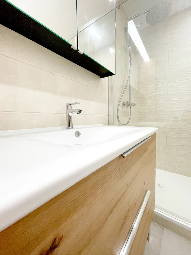 Salle de bains douche et lavabo
