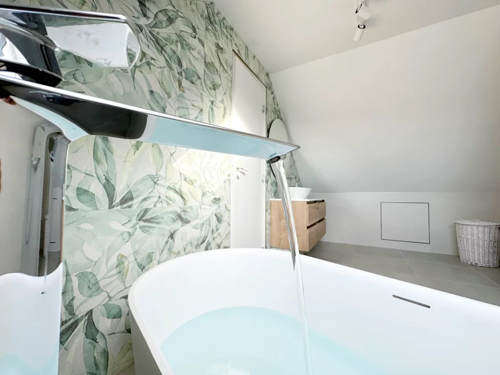 Salle de bains baignoire douche et toilette