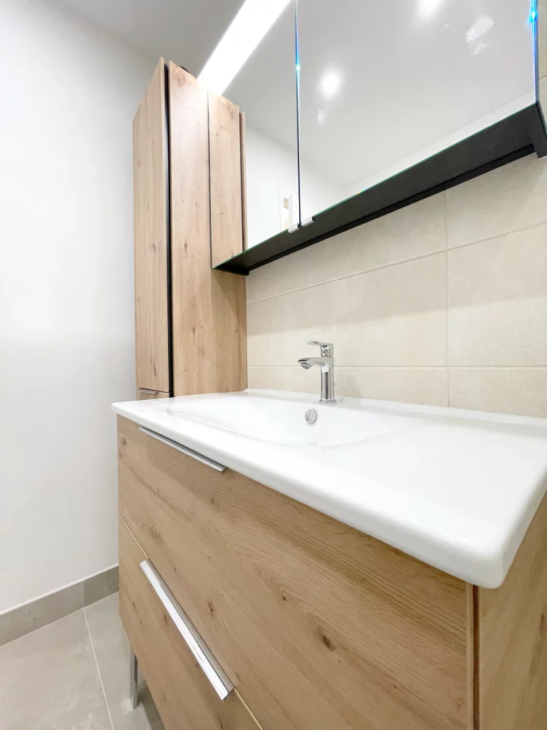 Salle de bains douche et lavabo